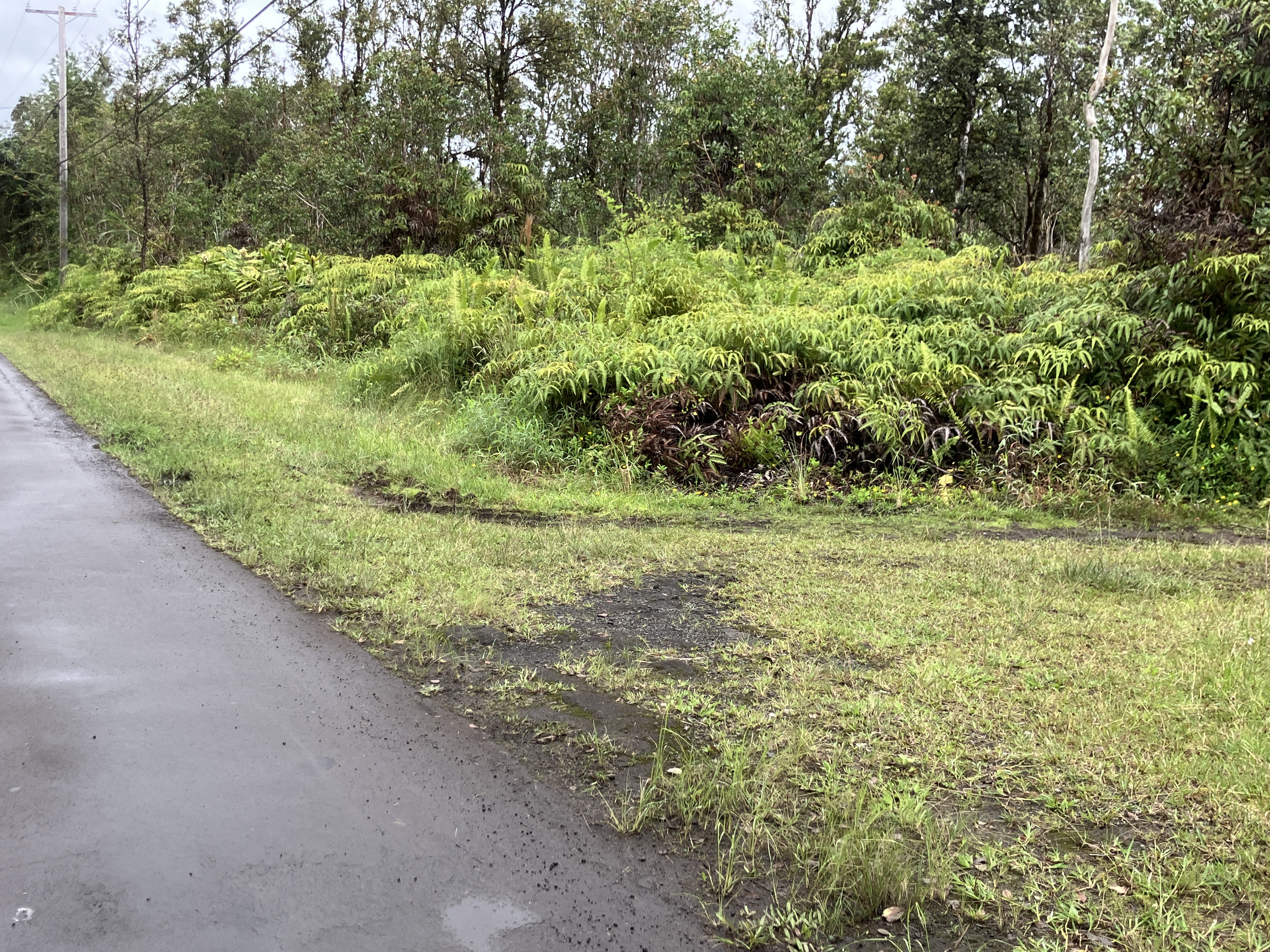 Lehua St Property Photo 2