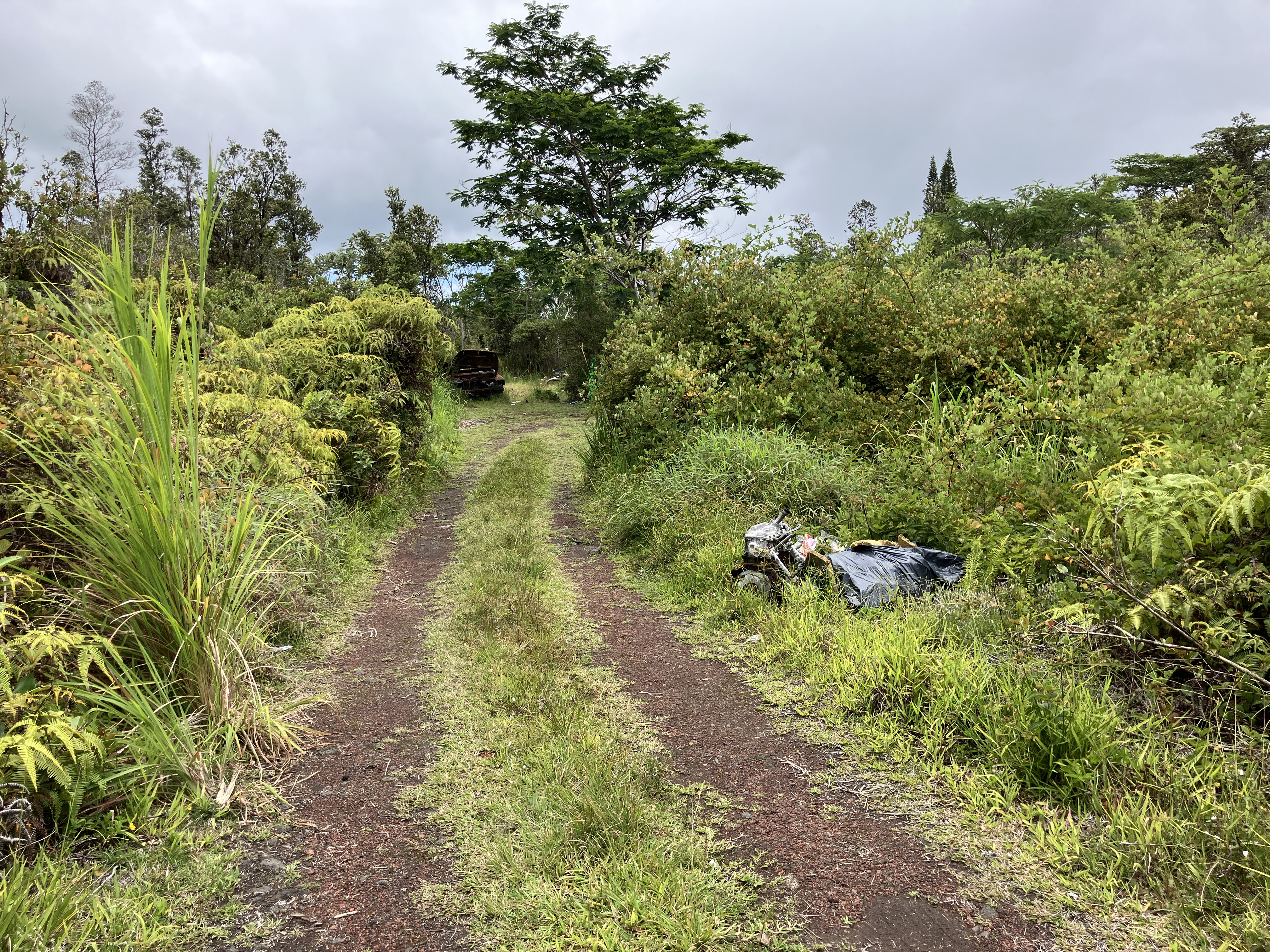 Lehua St Property Photo 4