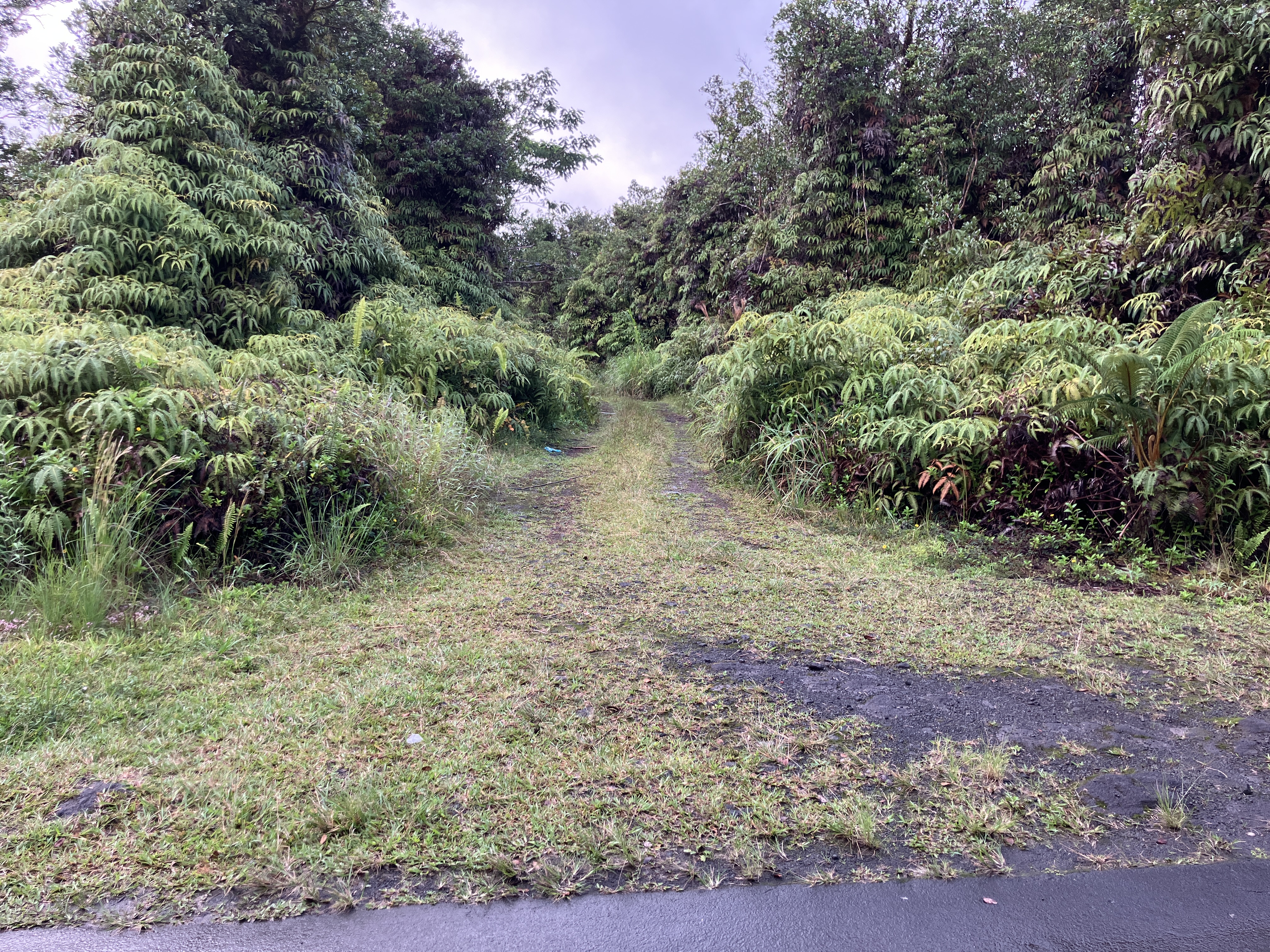 Lehua St Property Photo 5