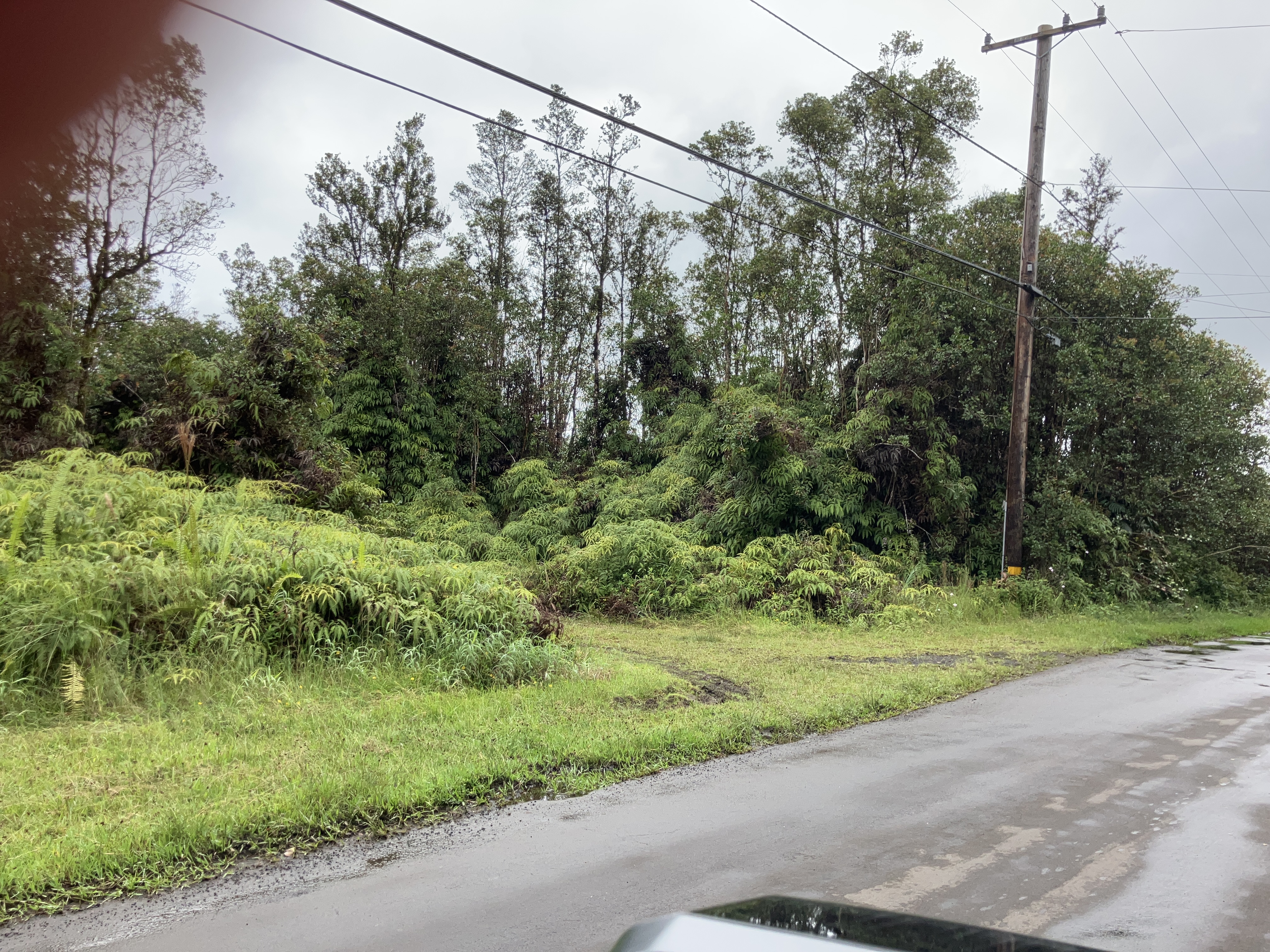 Lehua St Property Photo 8