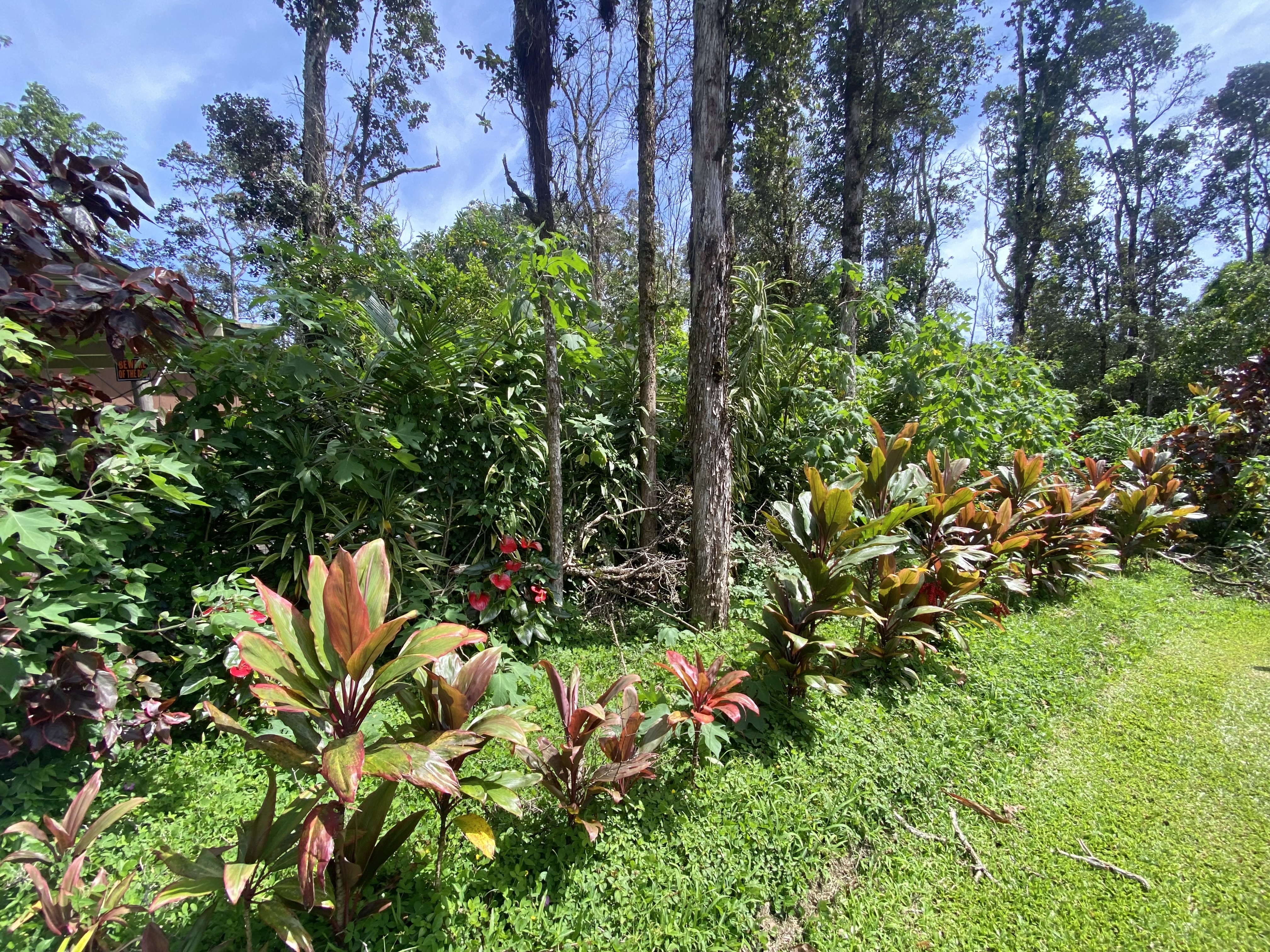 12-4353 Iolani St Property Photo 5