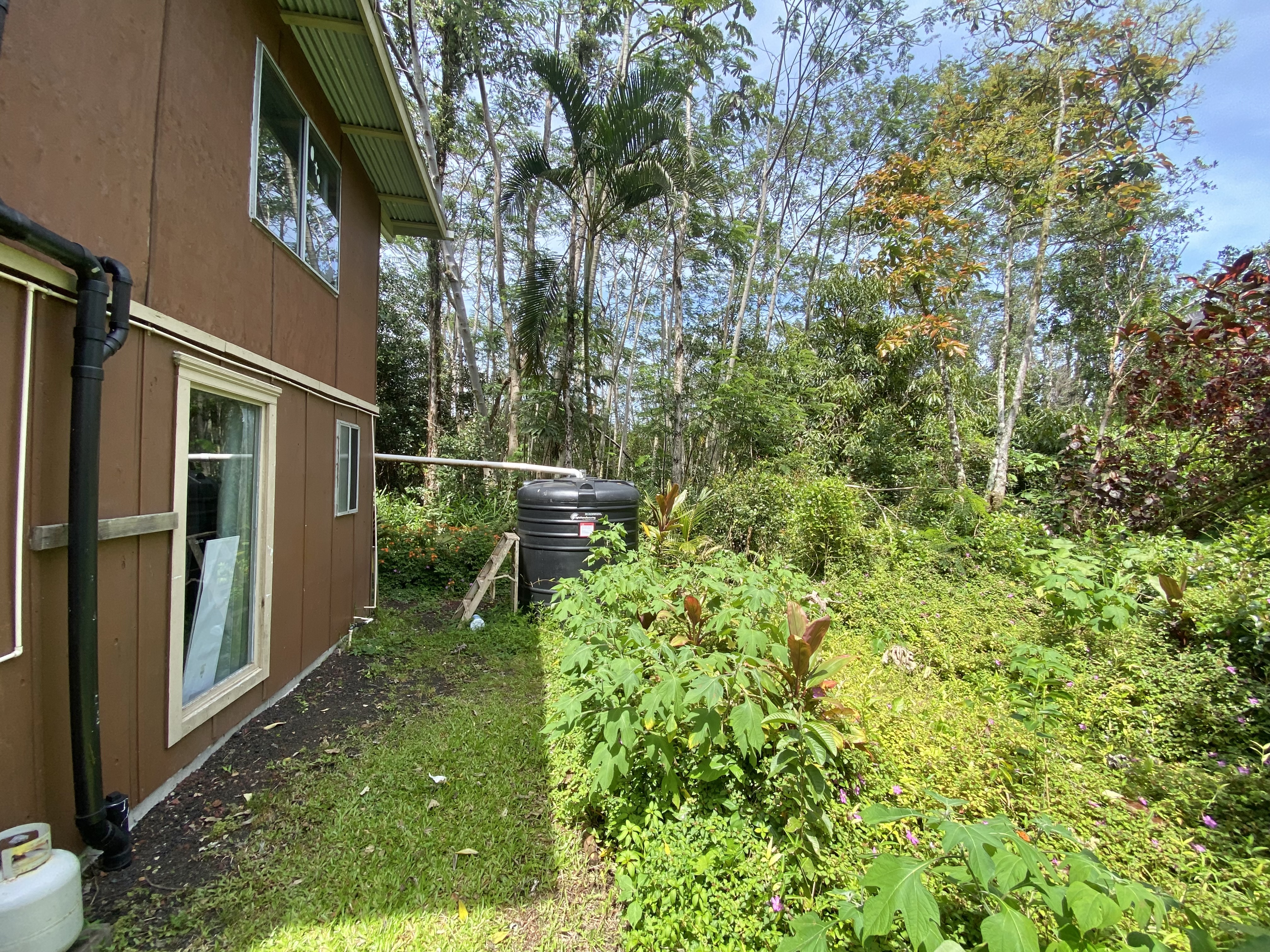 12-4353 Iolani St Property Photo 13