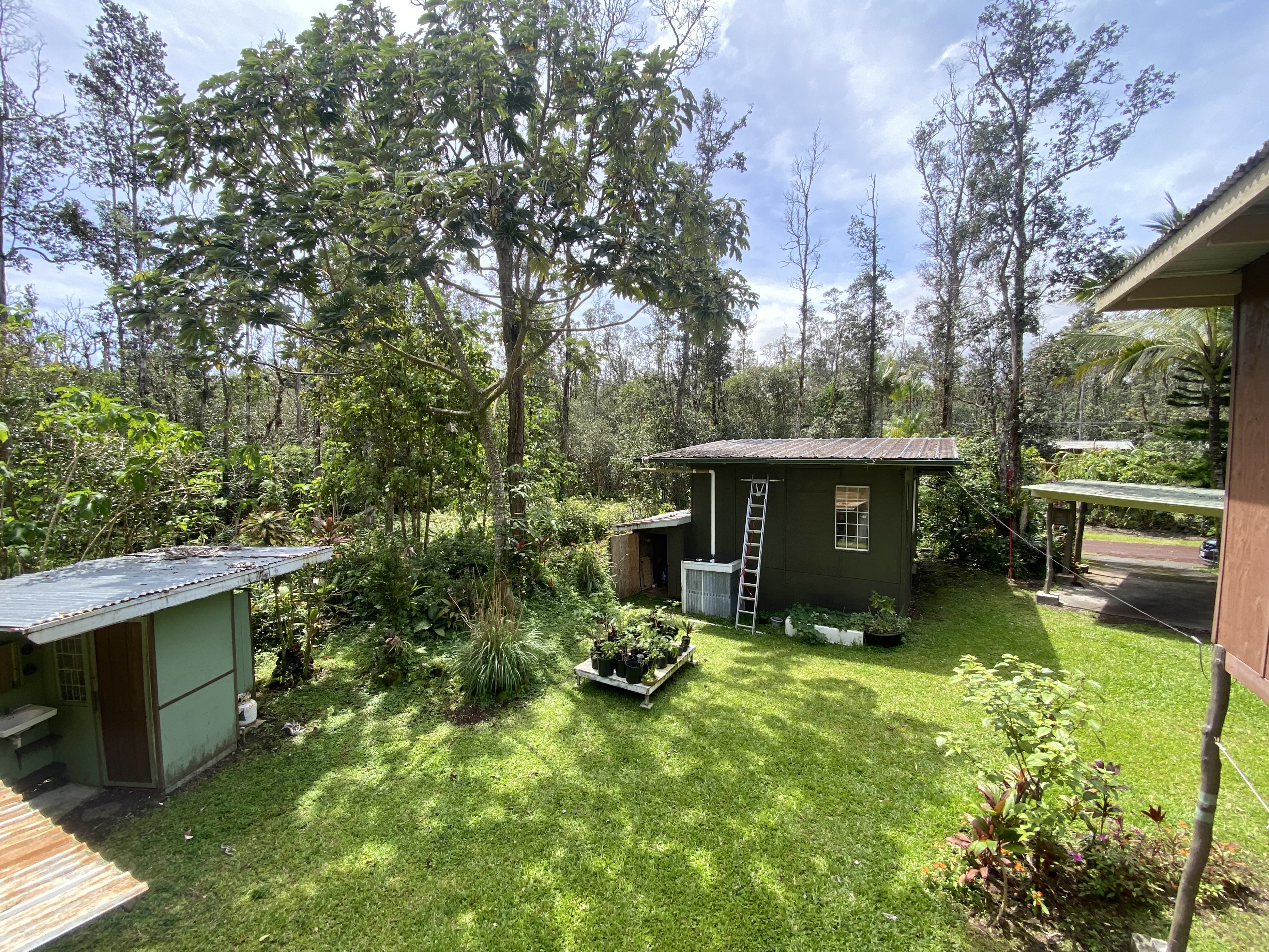 12-4353 Iolani St Property Photo 23