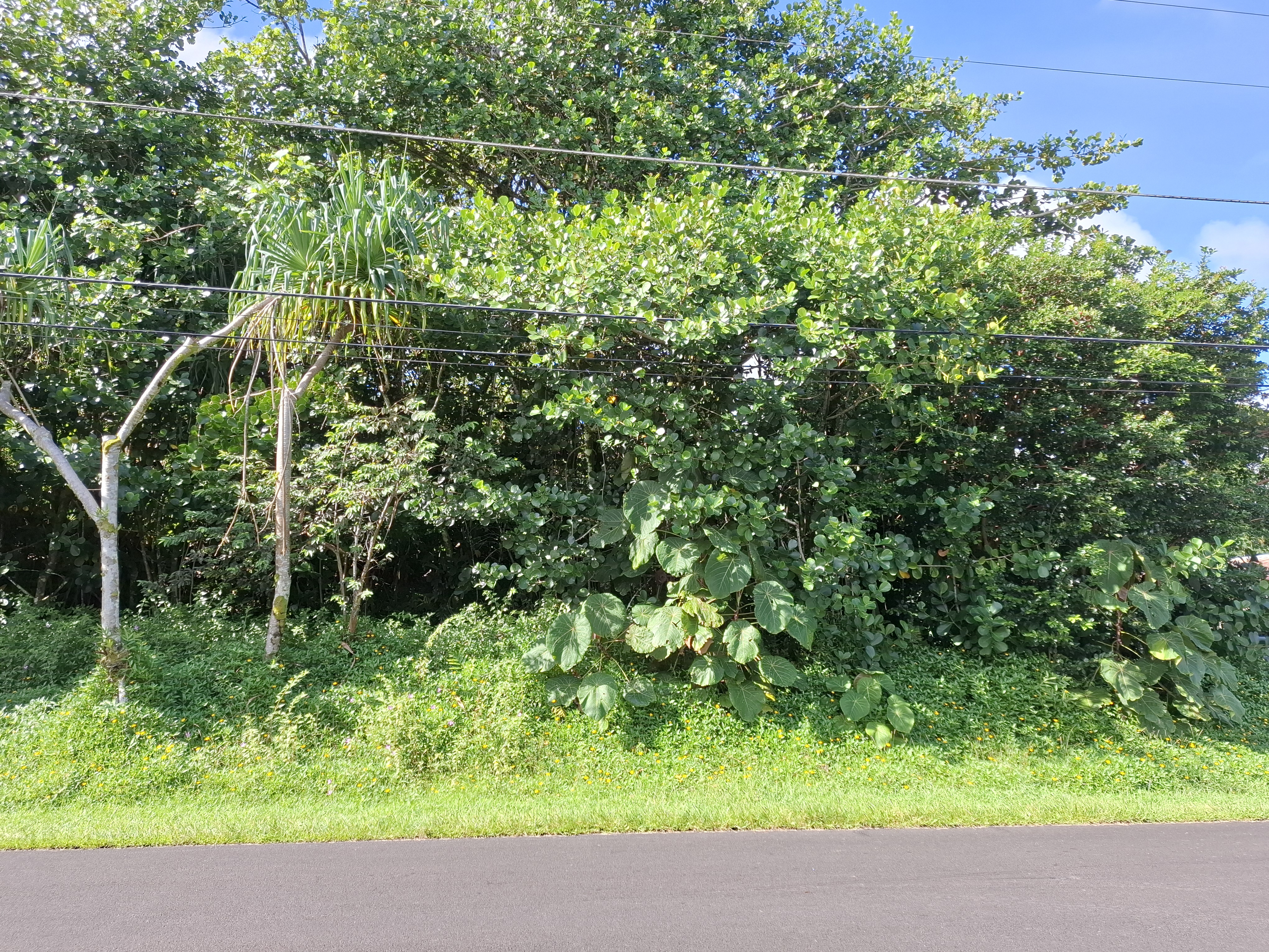 Opae St Property Photo 3