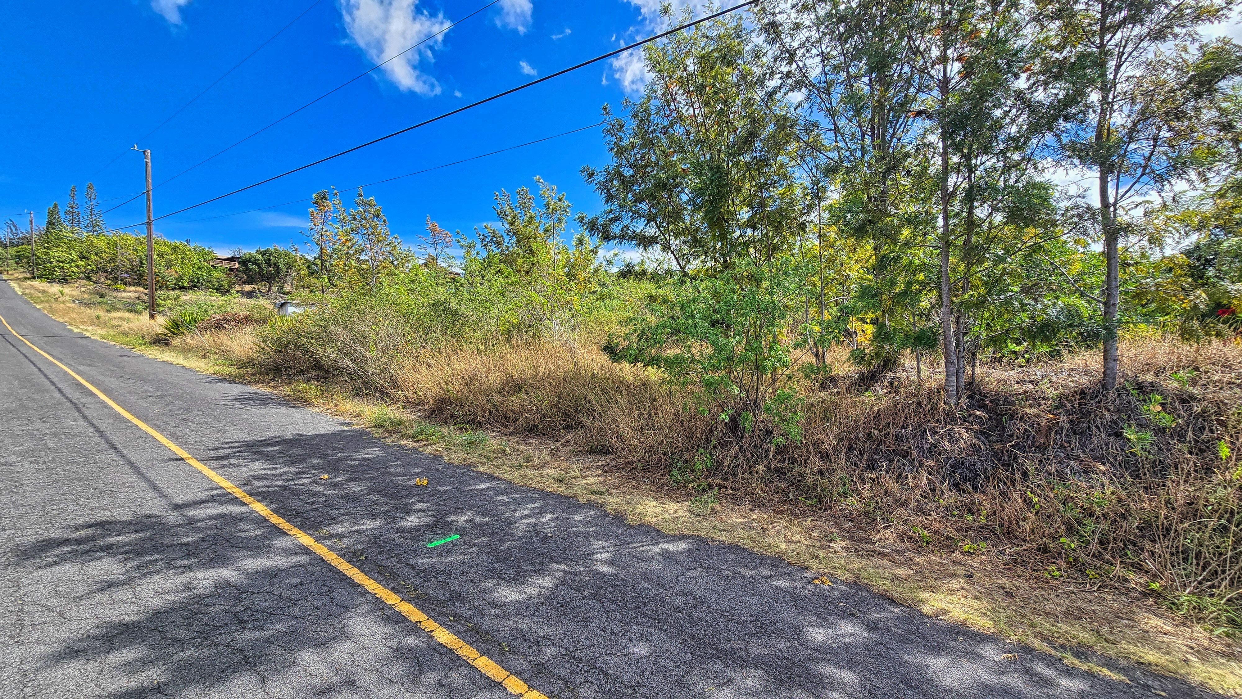 Bamboo Lane Property Photo 3