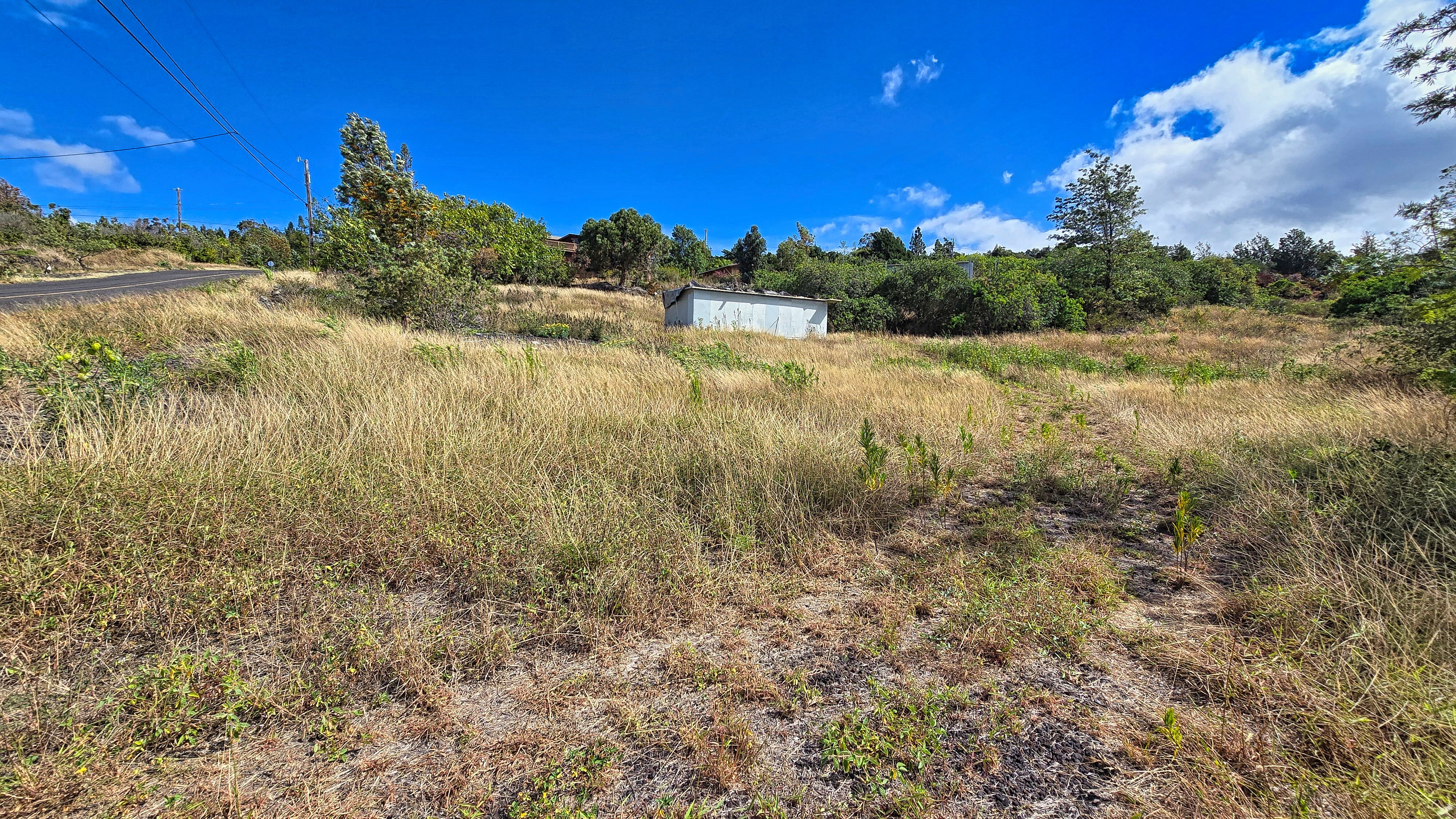 Bamboo Lane Property Photo 4