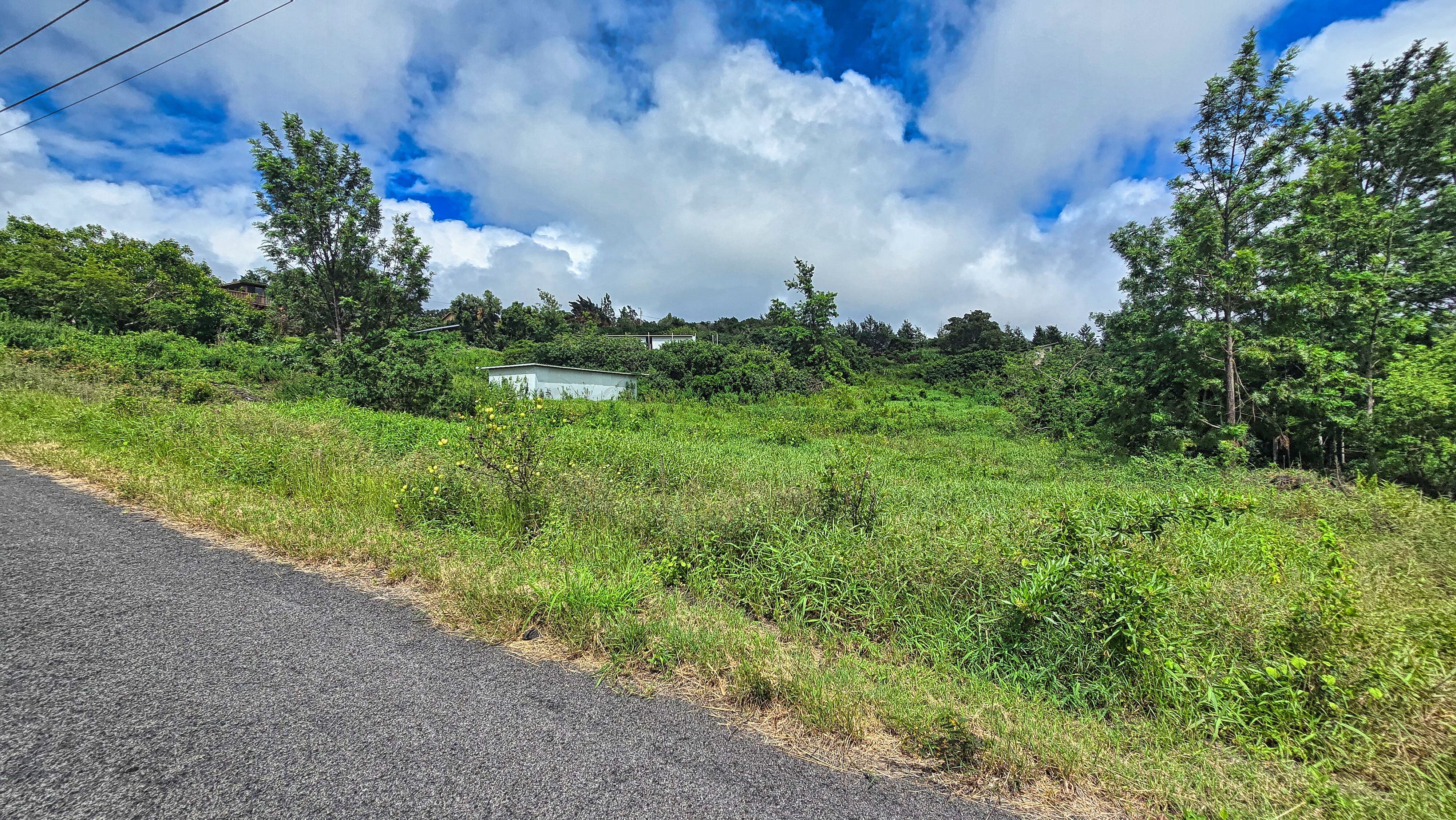 Bamboo Lane Property Photo 5