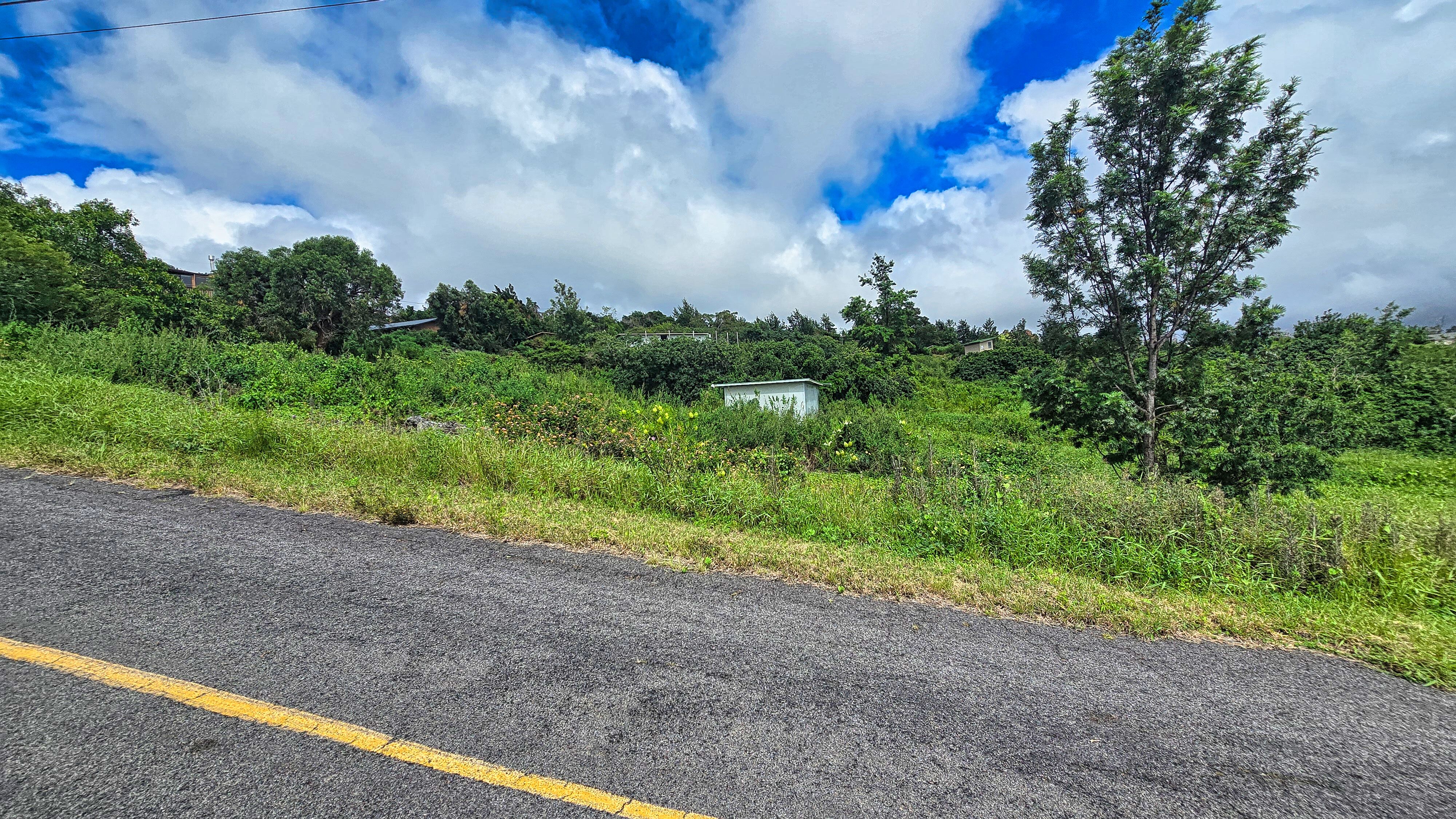 Bamboo Lane Property Photo 6
