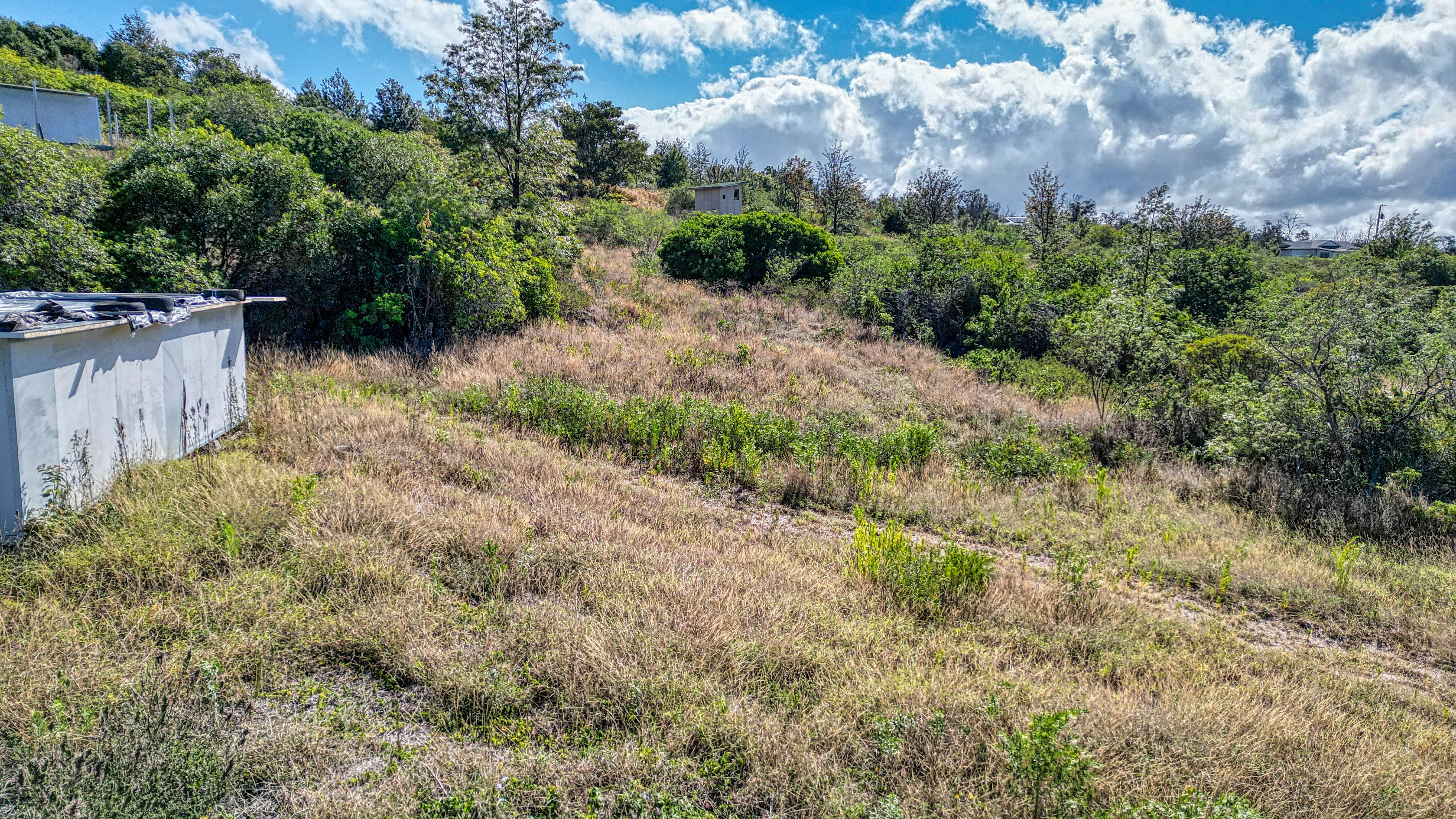 Bamboo Lane Property Photo 7