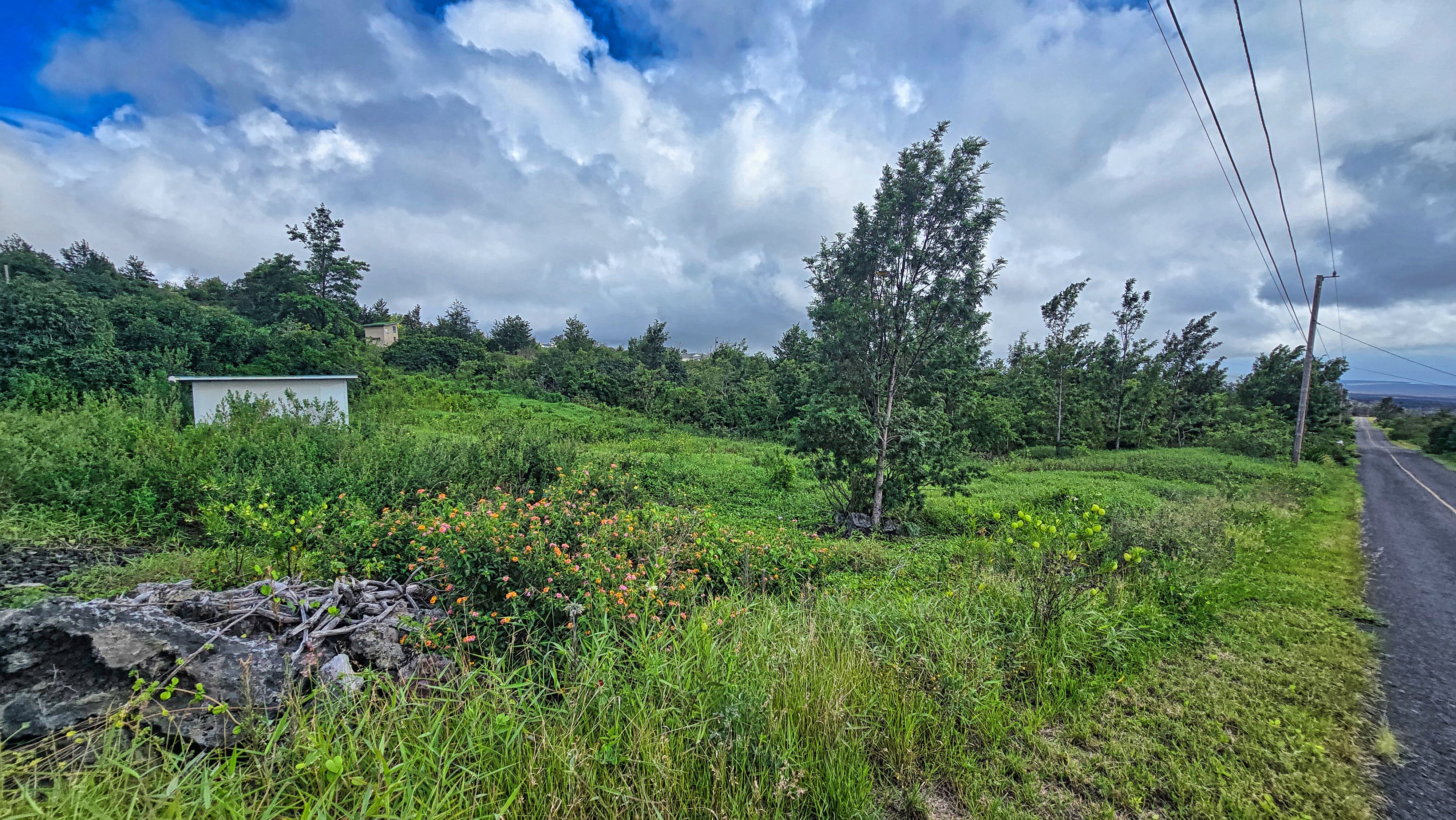 Bamboo Lane Property Photo 9