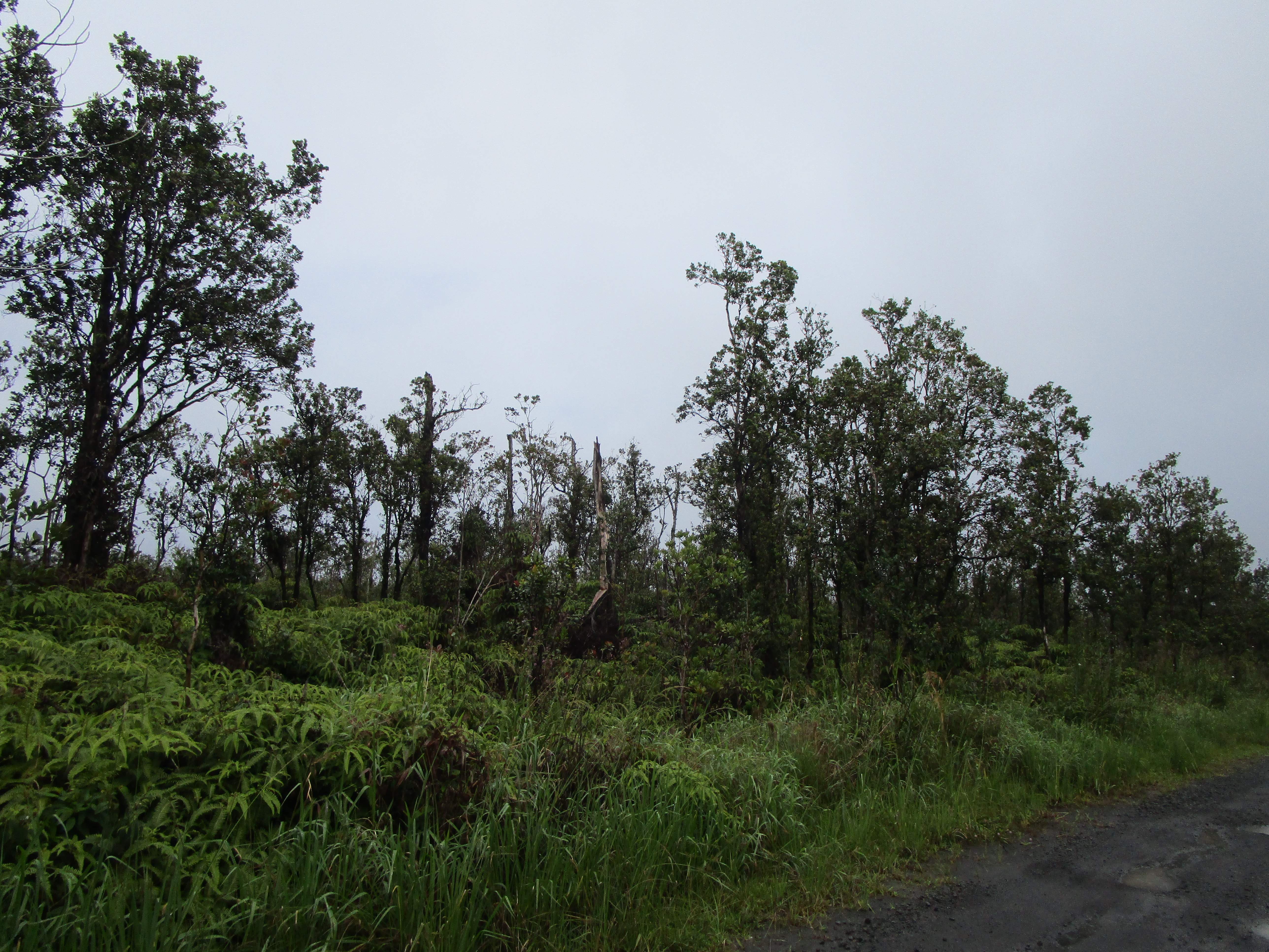 Apuakehau Rd Property Photo 2