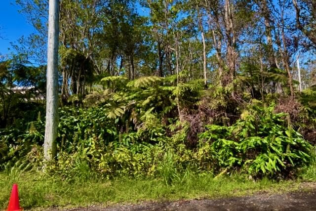 Anuhea Pl Property Photo 6