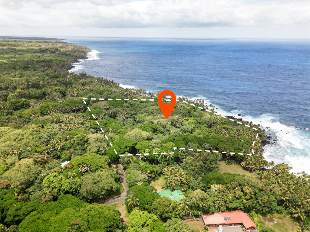 Kapoho Kalapana Rd Property Photo 4