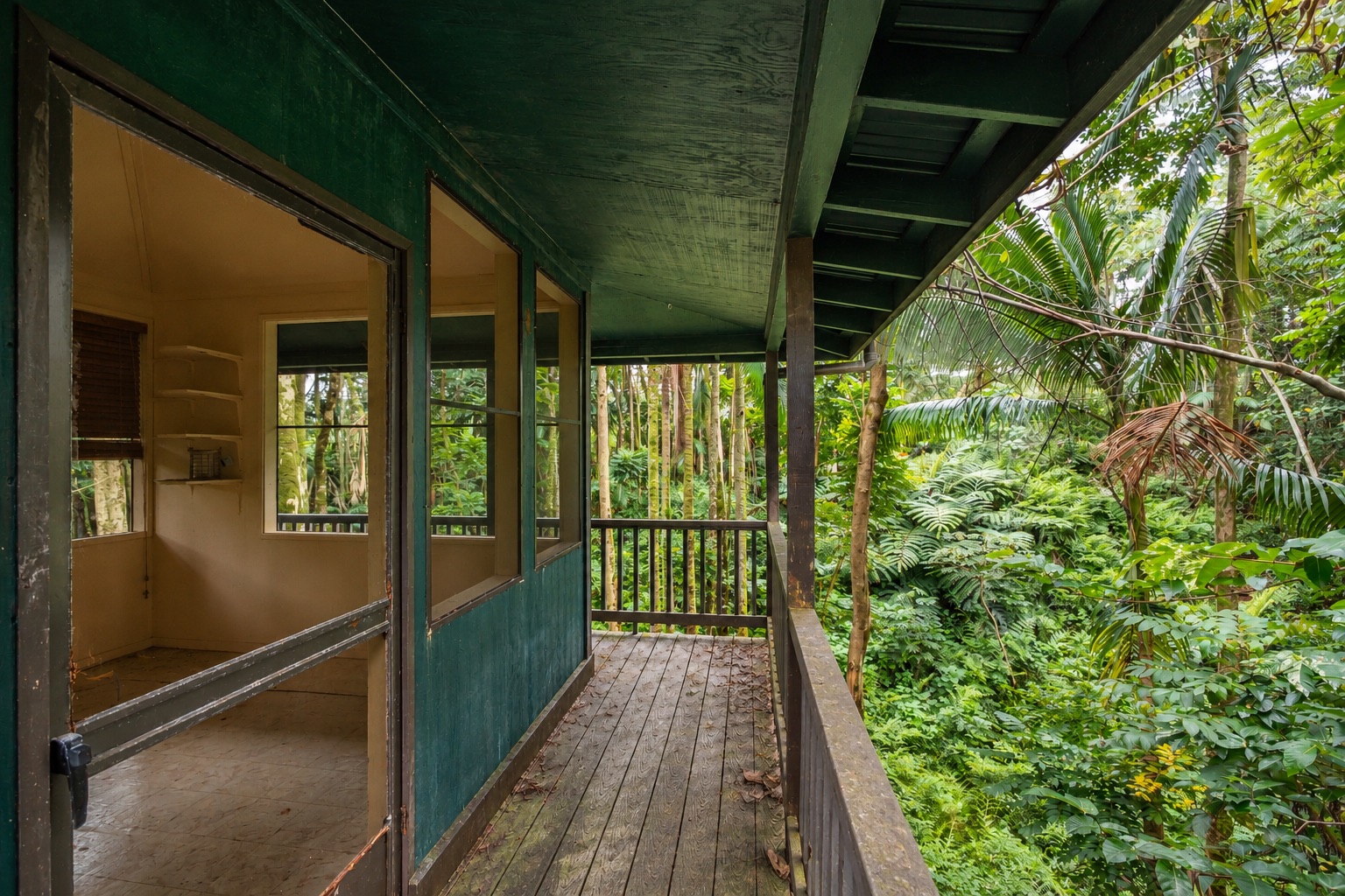 251 Kaiwiki Rd Property Photo 20