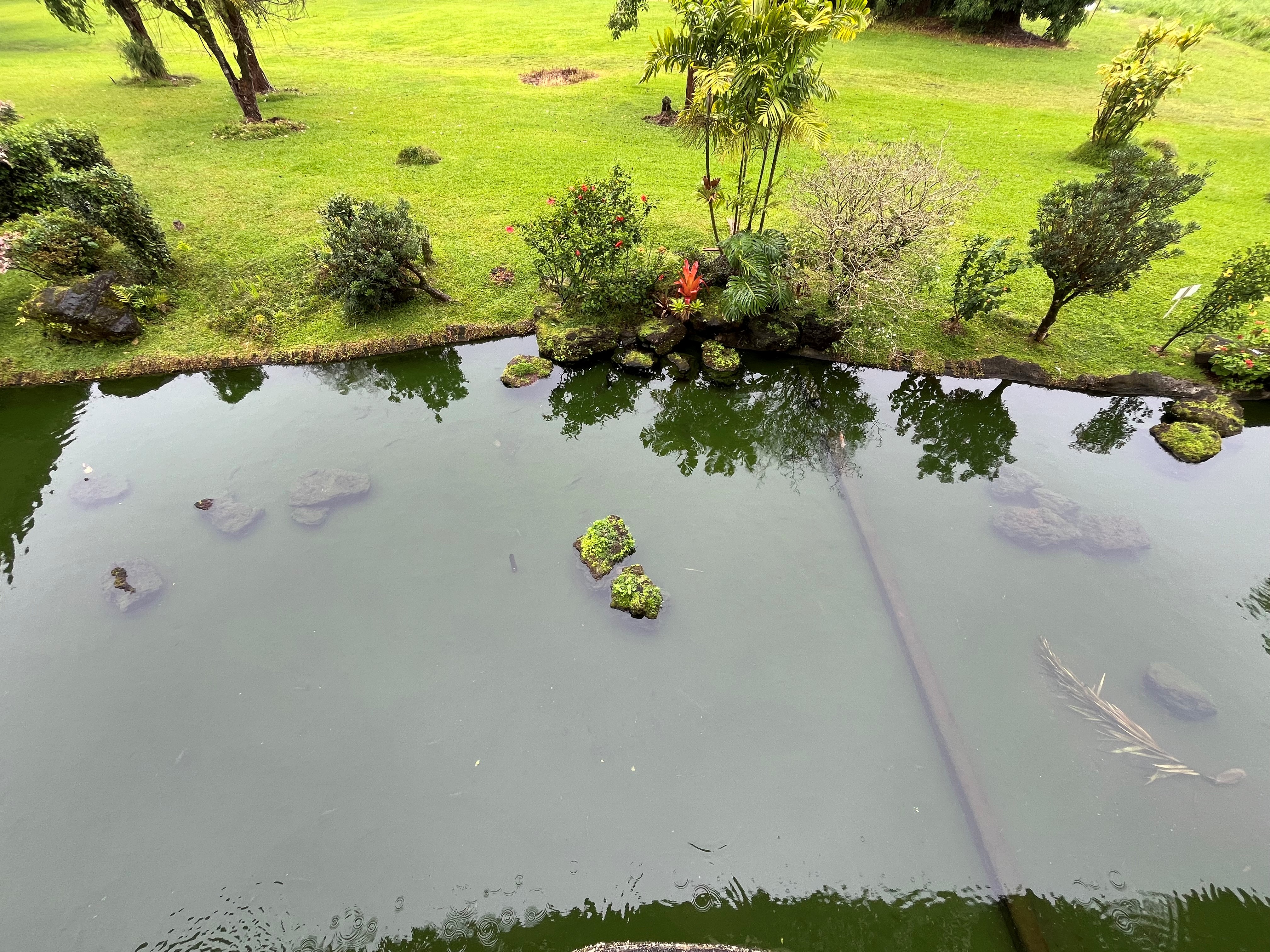 101 Hilo Lagoon Centre 239 Property Photo 6