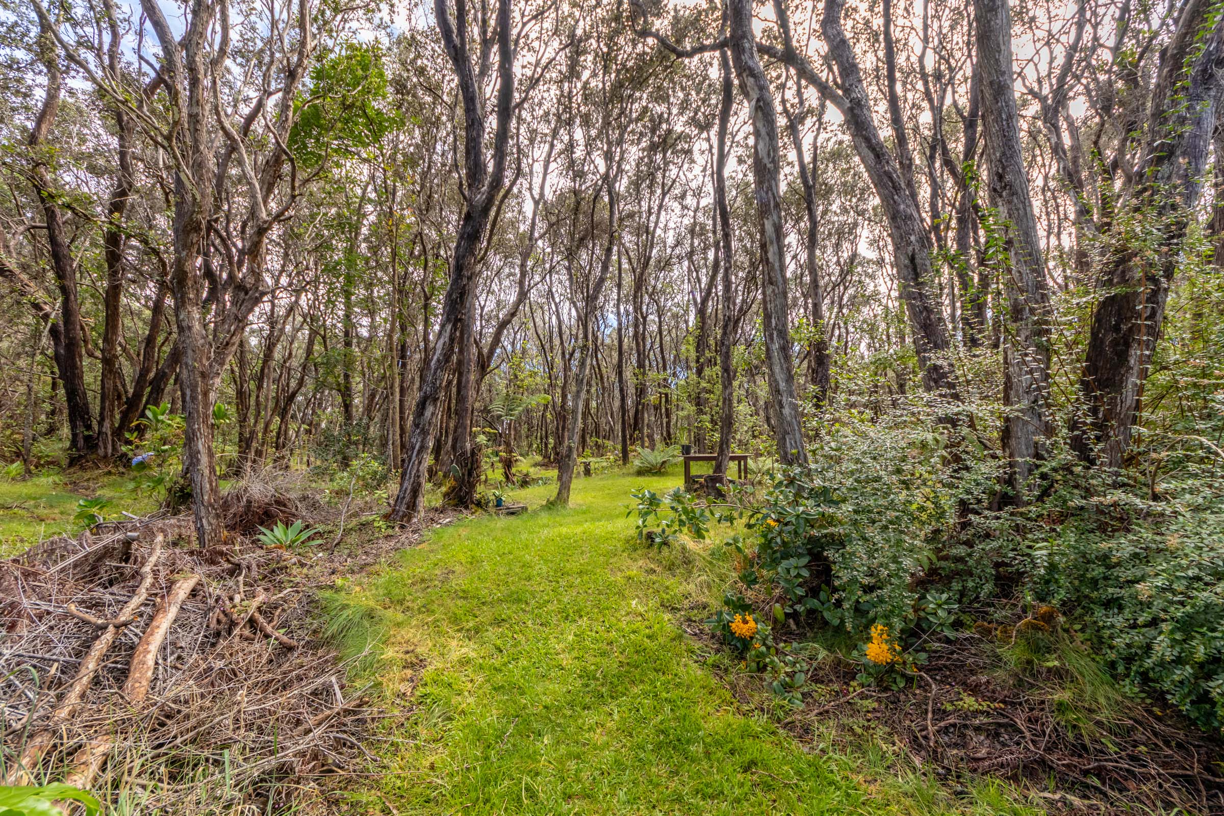 99-1808 Painiu Loop Property Photo 25