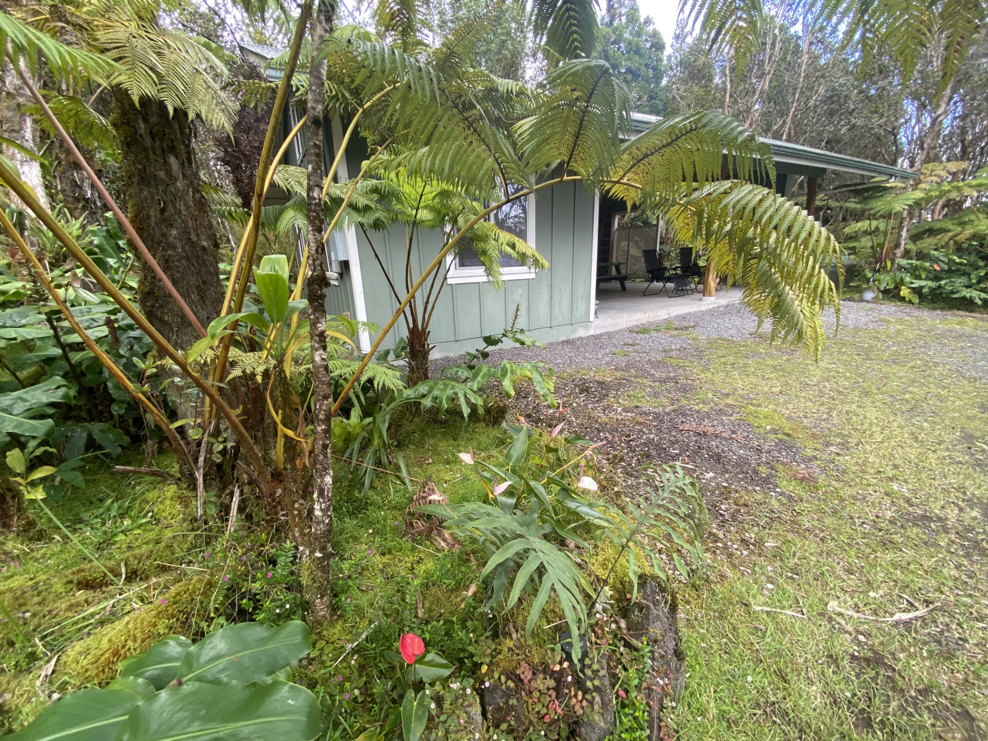 11-3806 Liona St Property Photo 3