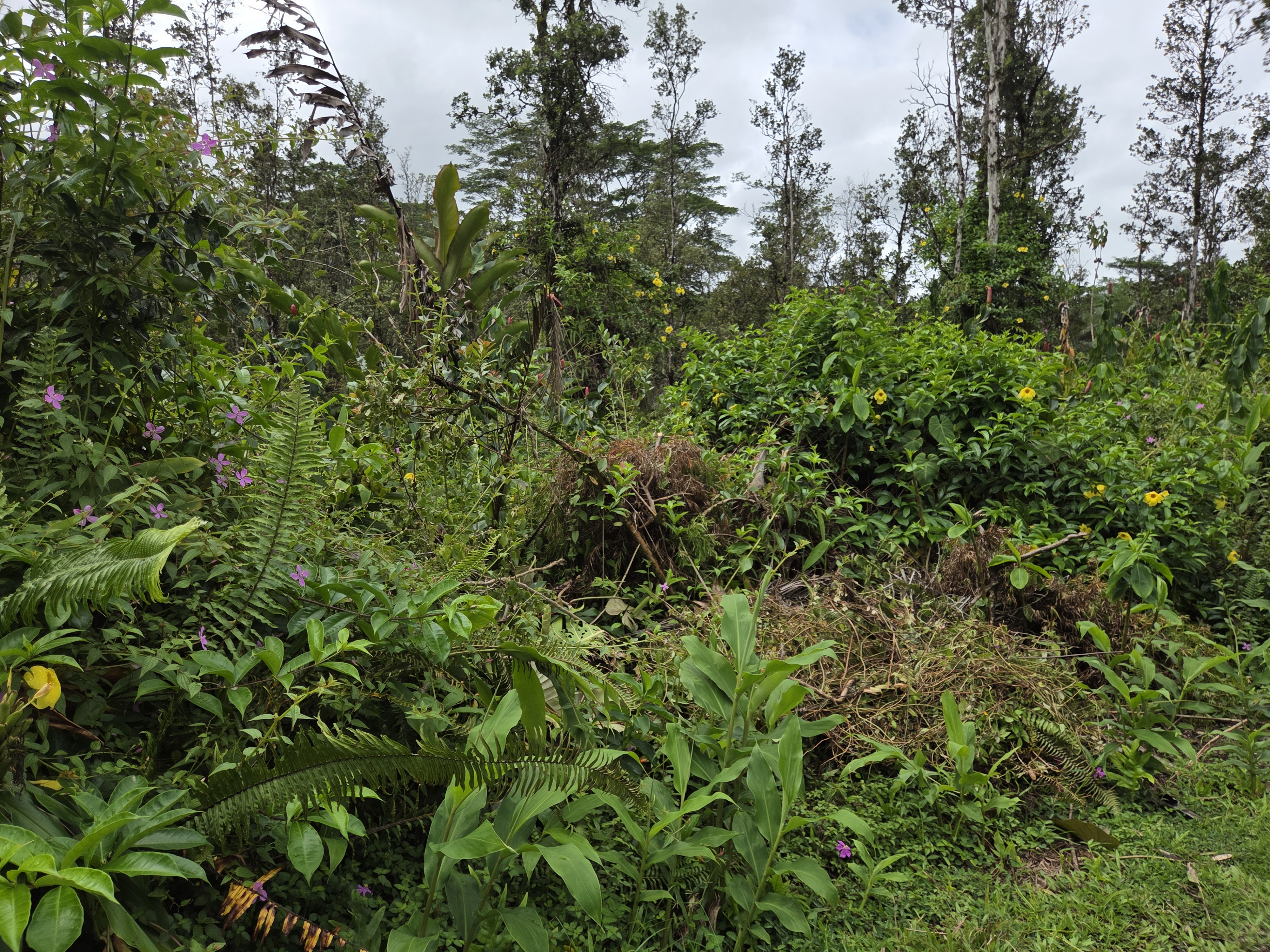 PIKAKE RD Property Photo 1