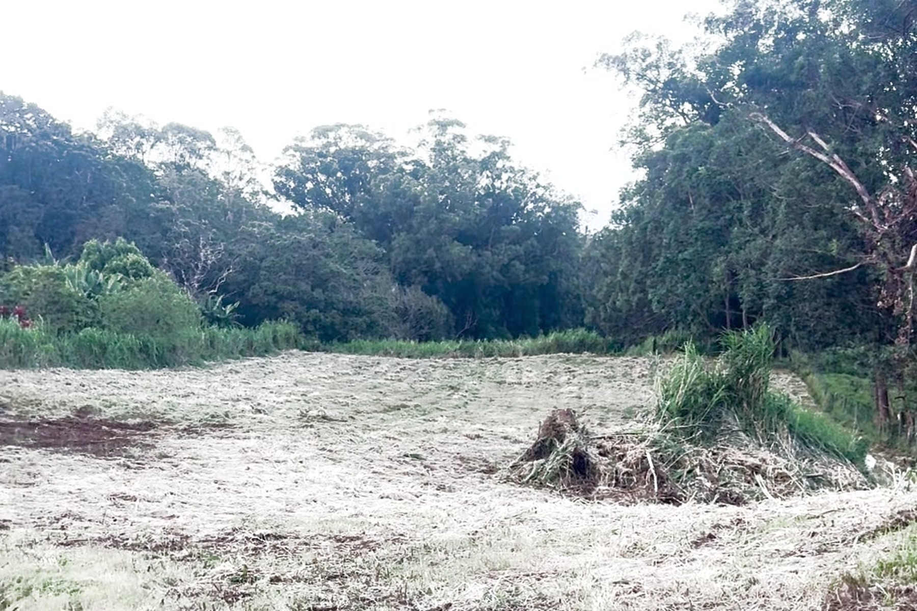 46-3676 Old Mamalahoa Highway Property Photo 1