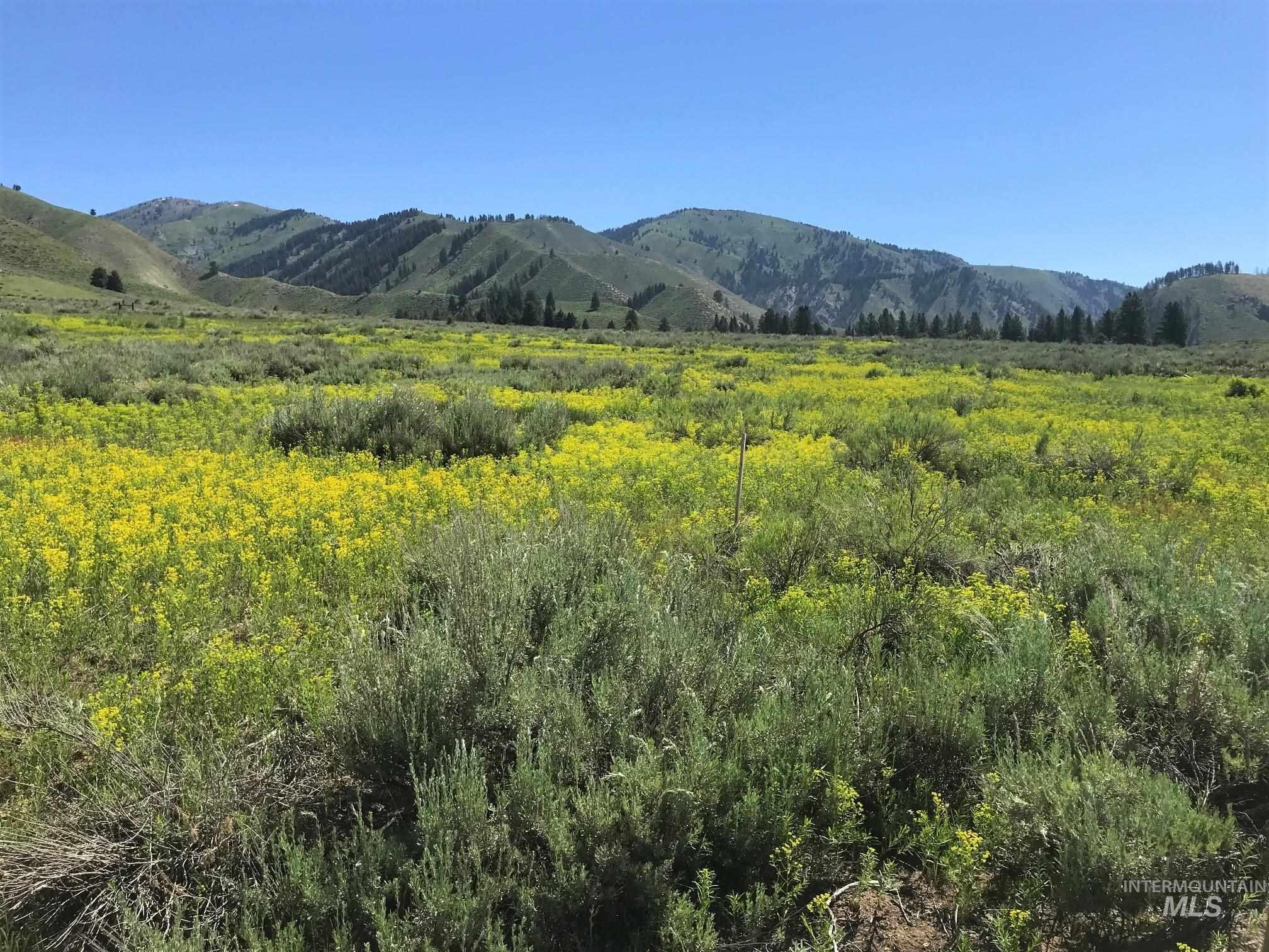 Lot 3 Block 1 South Fork Ranch Subdivision Property Photo