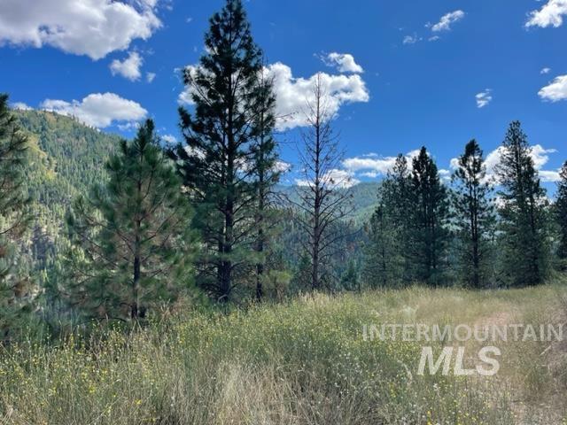 Tbd Eddy Creek Road Lot 1 Property Photo 2