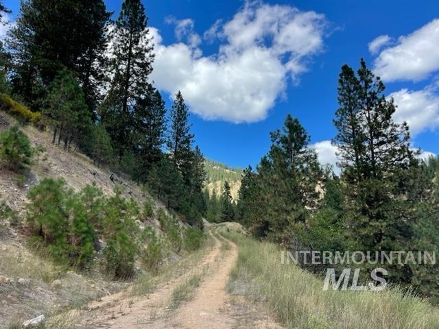 Tbd Eddy Creek Road Lot 1 Property Photo 4