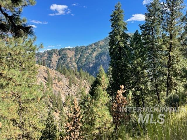 Tbd Eddy Creek Road Lot 1 Property Photo 6
