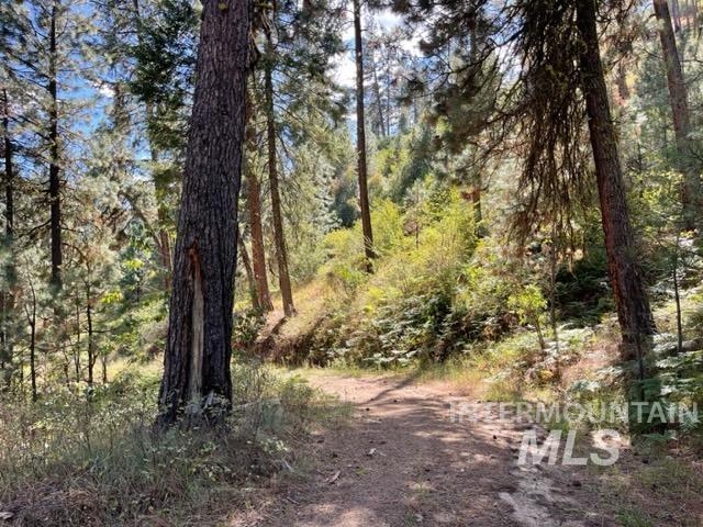 Tbd Eddy Creek Road Lot 1 Property Photo 8