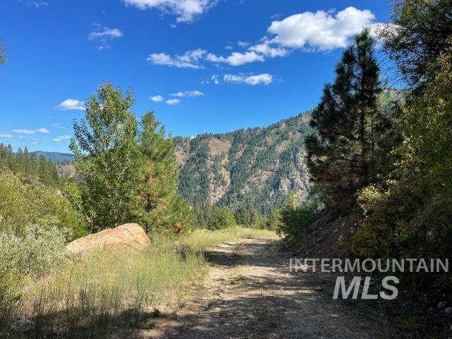 Tbd Eddy Creek Road Lot 1 Property Photo 9