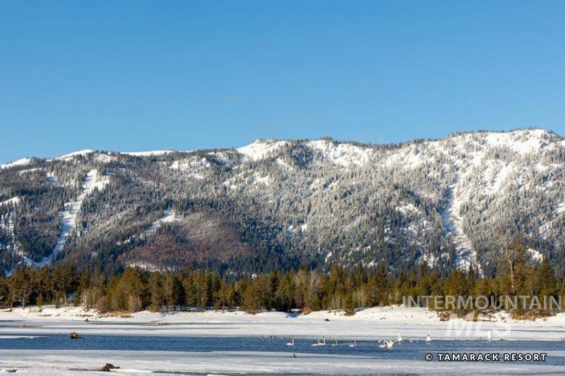 15 Aspen Glade Court Property Photo 22