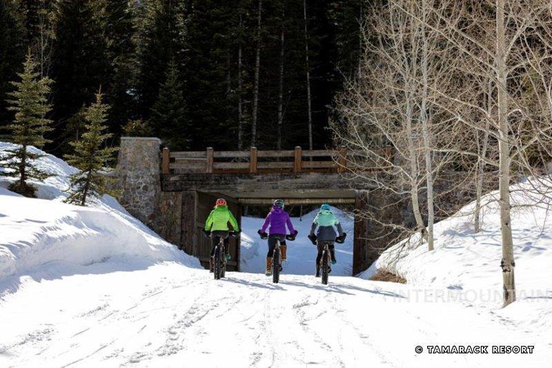 15 Aspen Glade Court Property Photo 28