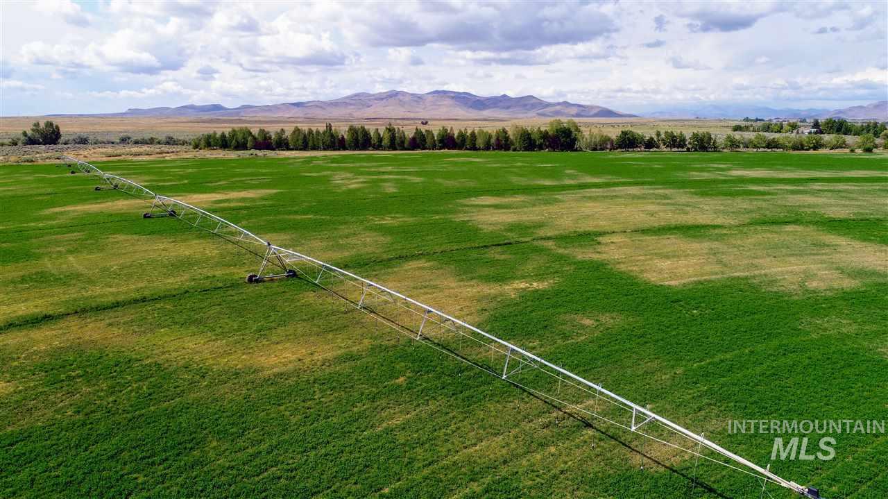 Priest Road Property Photo 10