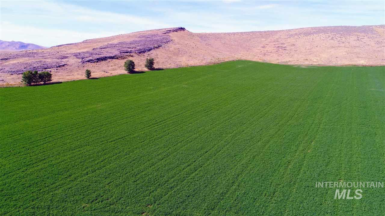 Priest Road Property Photo 32