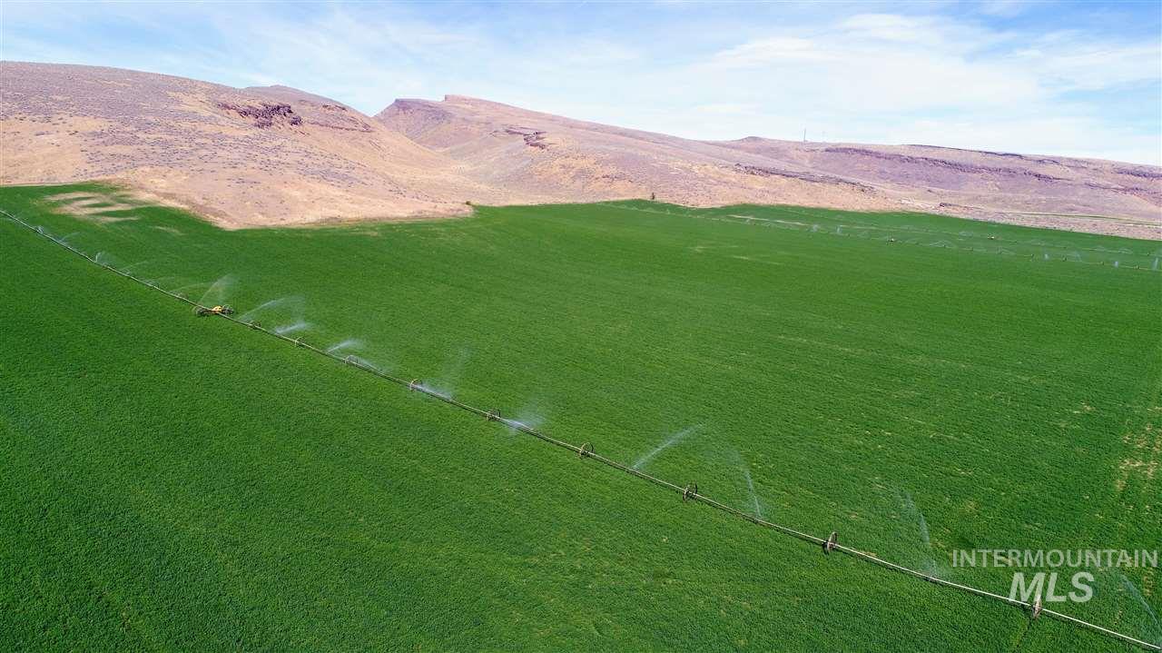 Priest Road Property Photo 33