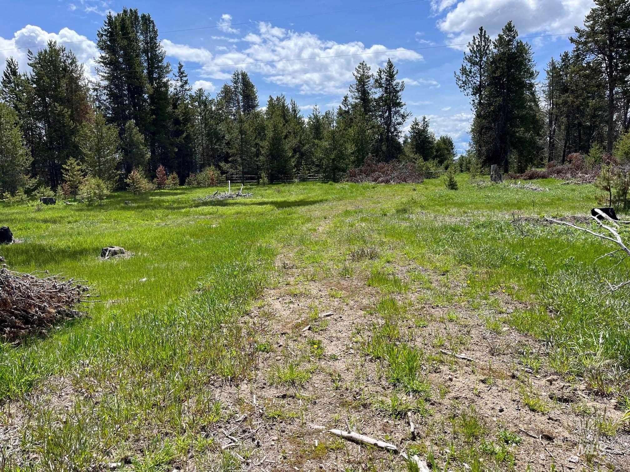 13480 & Tbd Gunsmoke Road Property Photo 3