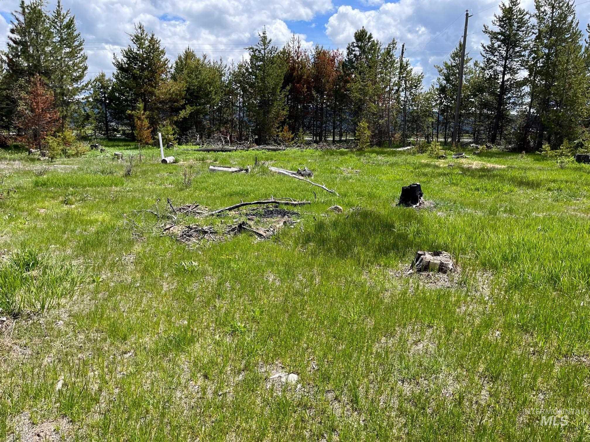 13480 & Tbd Gunsmoke Road Property Photo 4