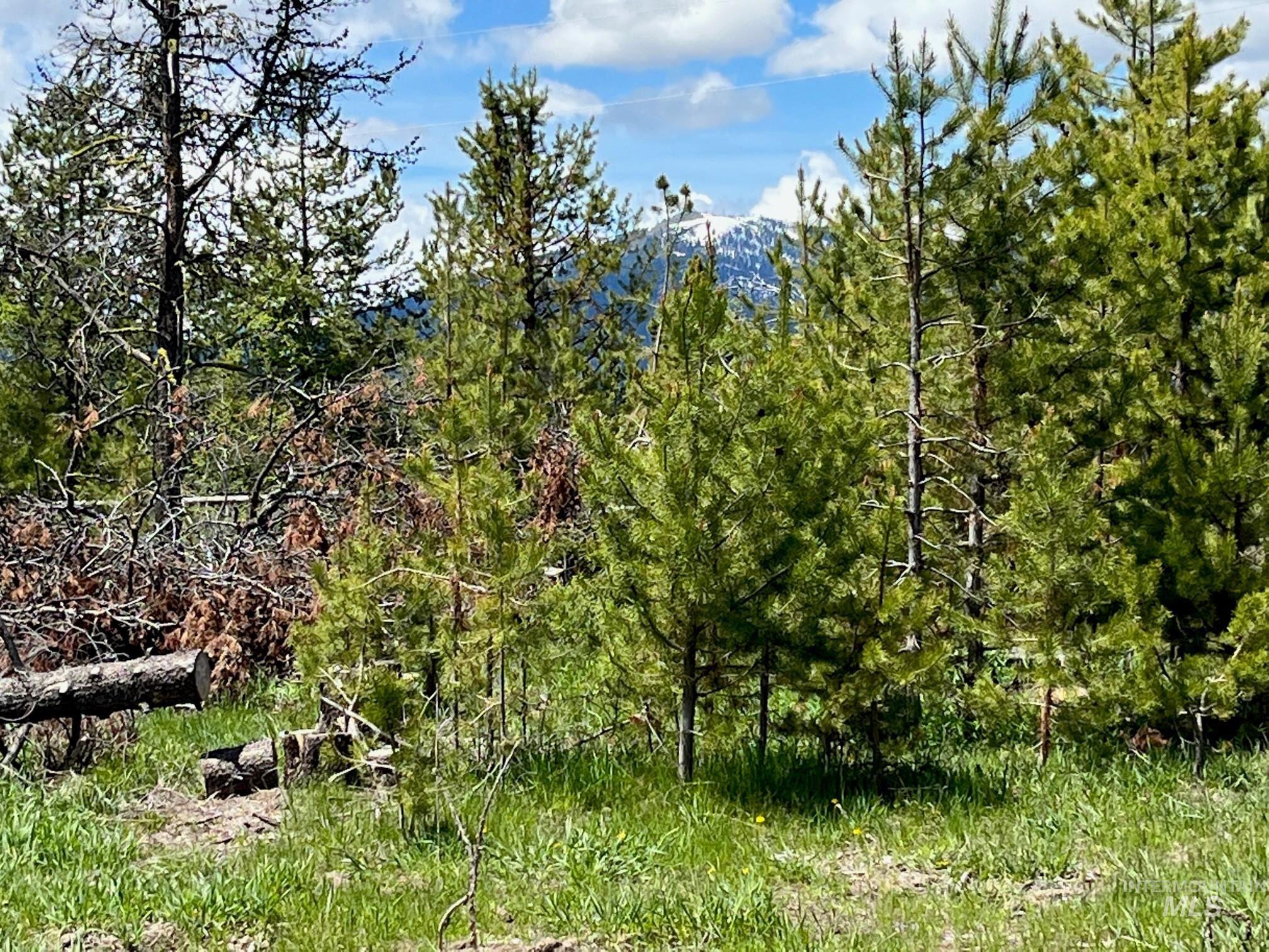 13480 & Tbd Gunsmoke Road Property Photo 5