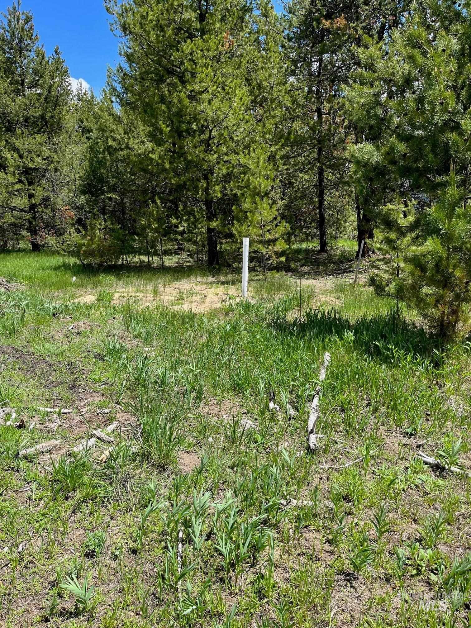 13480 & Tbd Gunsmoke Road Property Photo 6