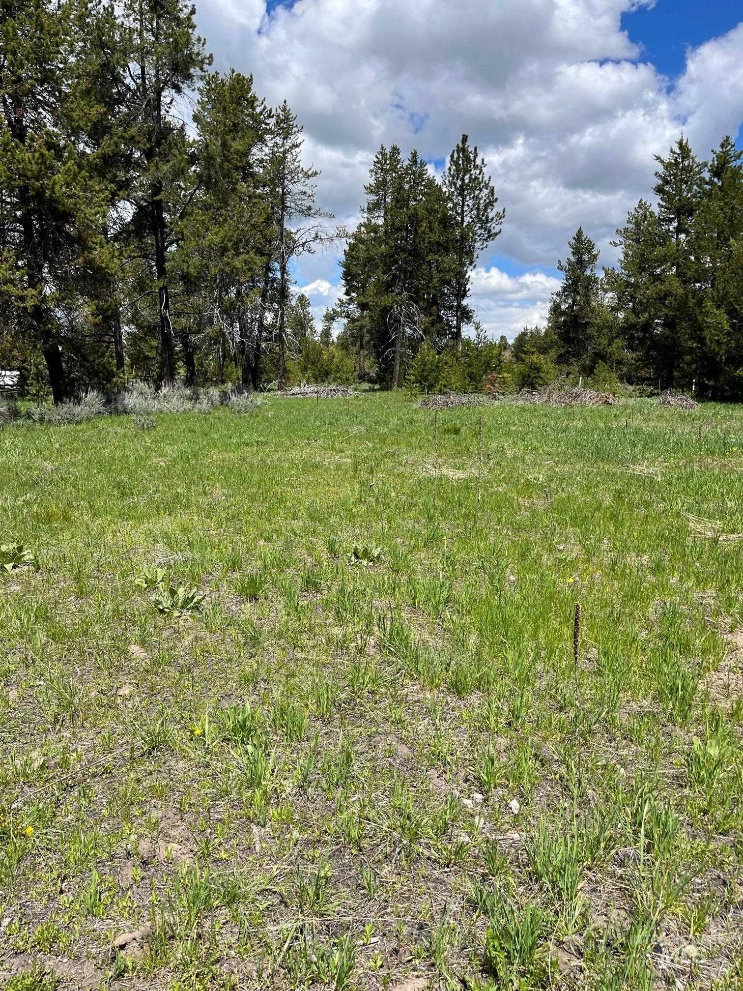 13480 & Tbd Gunsmoke Road Property Photo 7