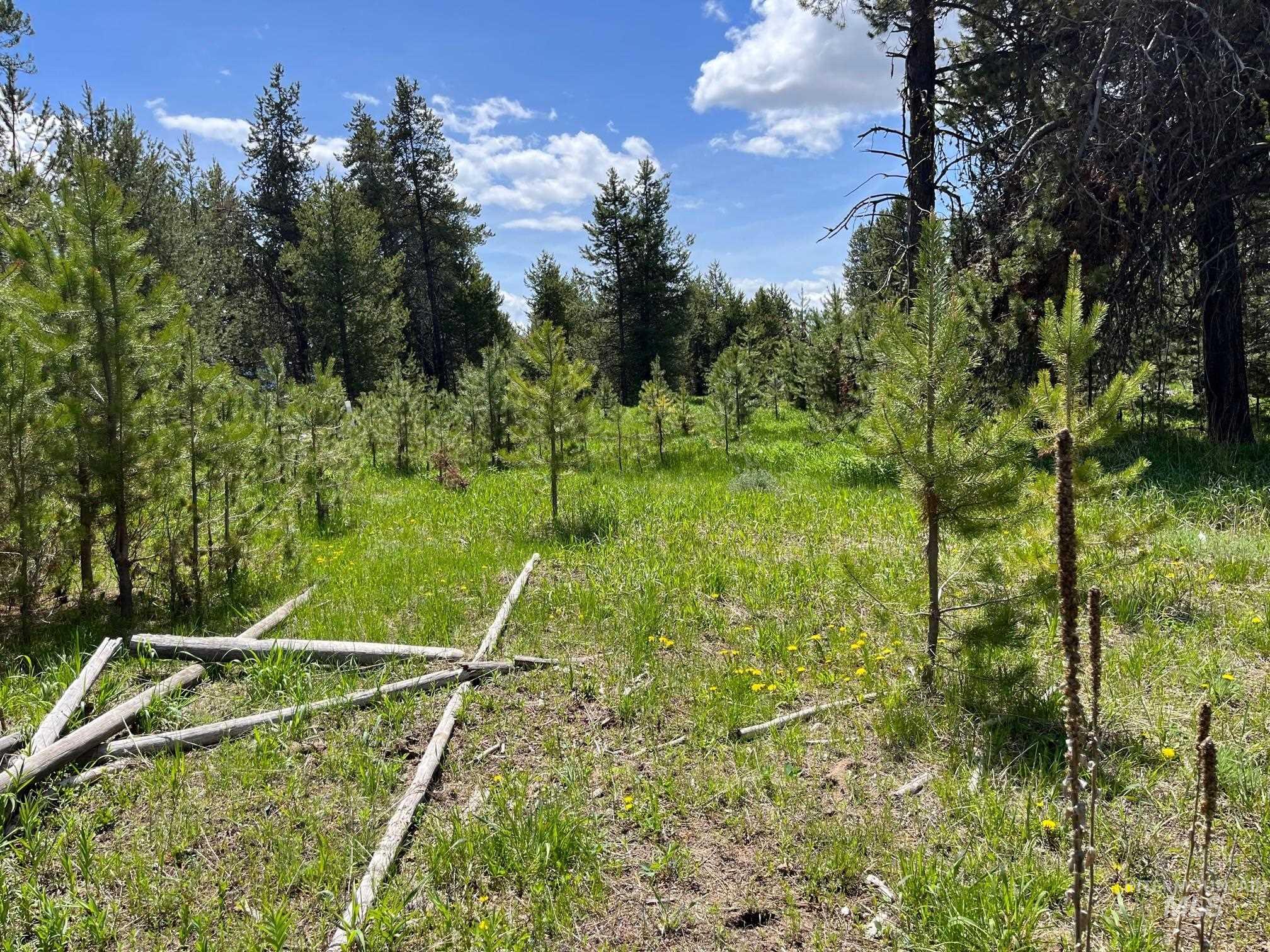 13480 & Tbd Gunsmoke Road Property Photo 9