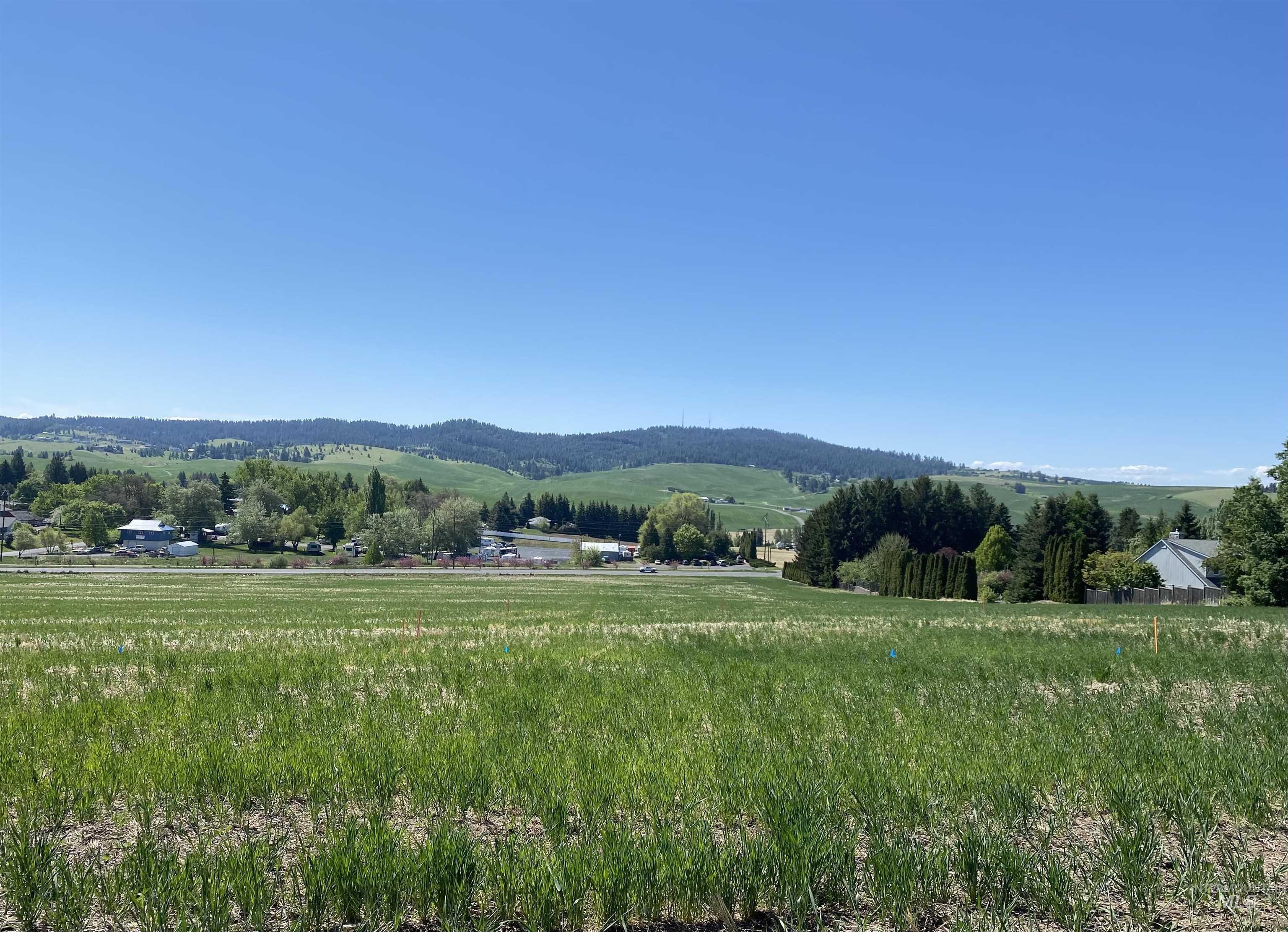 2803 Wildrose Property Photo 1