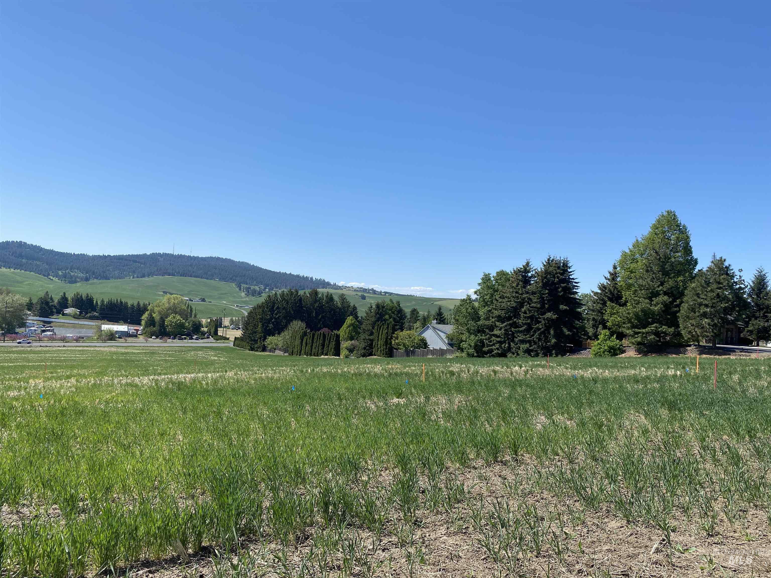 2803 Wildrose Property Photo 3