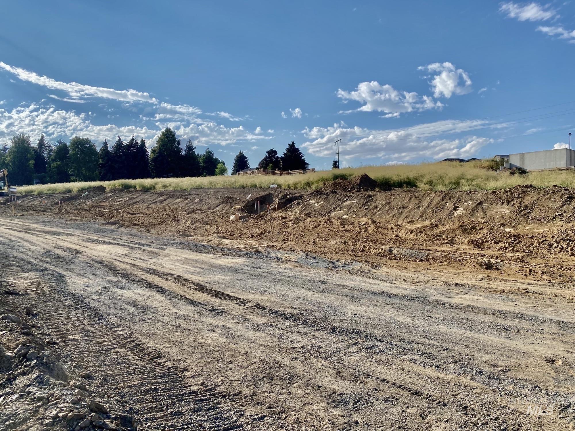 2803 Wildrose Property Photo 8