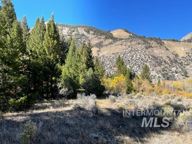 Badger Creek Property Photo 3