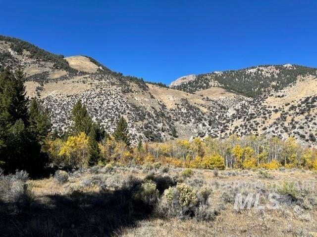 Badger Creek Property Photo 4