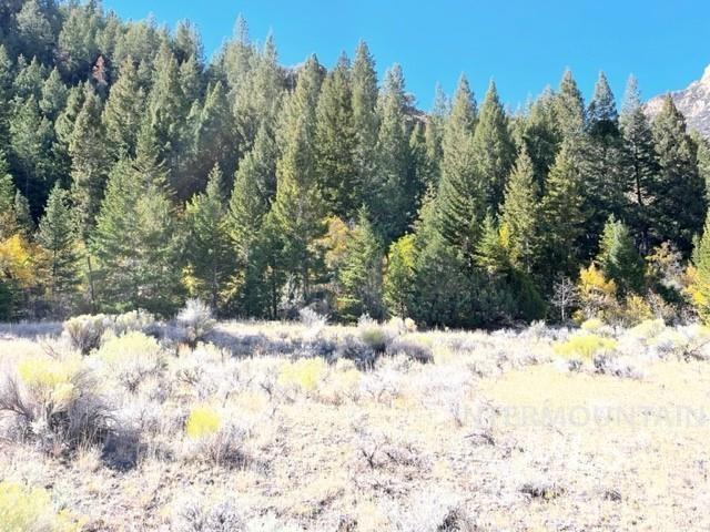 Badger Creek Property Photo 6