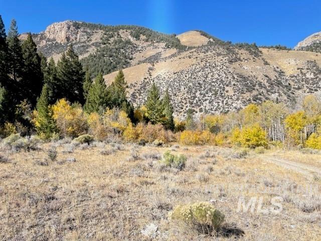 Badger Creek Property Photo 7