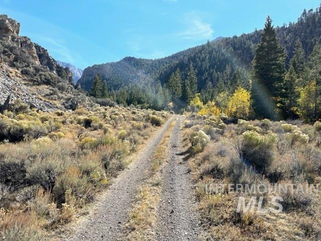 Badger Creek Property Photo 8