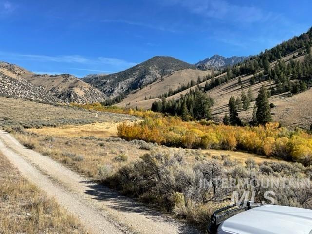 Badger Creek Property Photo 11