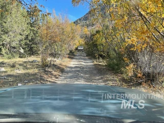 Badger Creek Property Photo 12
